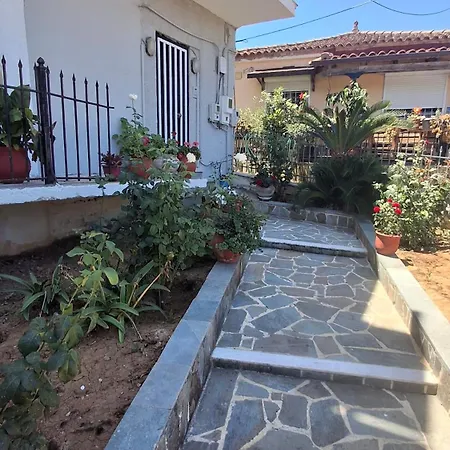 Olga's Sea & Port View House *